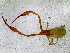  ( - BGE_00504_C01)  @11 [ ] Copyright (2024) Unspecified Croatian Biospeleological Society