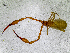  ( - BGE_00504_C01)  @11 [ ] Copyright (2024) Unspecified Croatian Biospeleological Society