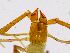  ( - BGE_00504_C04)  @11 [ ] Copyright (2024) Unspecified Croatian Biospeleological Society