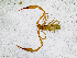  ( - BGE_00504_C04)  @11 [ ] Copyright (2024) Unspecified Croatian Biospeleological Society