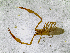  ( - BGE_00504_C05)  @11 [ ] Copyright (2024) Unspecified Croatian Biospeleological Society