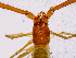  ( - BGE_00504_D04)  @11 [ ] Copyright (2024) Unspecified Croatian Biospeleological Society