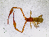  ( - BGE_00504_D04)  @11 [ ] Copyright (2024) Unspecified Croatian Biospeleological Society