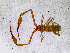  ( - BGE_00504_D04)  @11 [ ] Copyright (2024) Unspecified Croatian Biospeleological Society