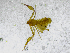  ( - BGE_00503_H07)  @11 [ ] Copyright (2024) Unspecified Croatian Biospeleological Society