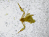  ( - BGE_00503_H07)  @11 [ ] Copyright (2024) Unspecified Croatian Biospeleological Society