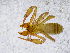  ( - BGE_00504_F06)  @11 [ ] Copyright (2025) Unspecified Croatian Biospeleological Society