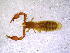  ( - BGE_00505_A09)  @11 [ ] Copyright (2024) Unspecified Croatian Biospeleological Society
