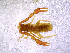  ( - BGE_00505_A11)  @11 [ ] Copyright (2024) Unspecified Croatian Biospeleological Society