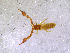 ( - BGE_00505_A12)  @11 [ ] Copyright (2024) Unspecified Croatian Biospeleological Society