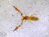  ( - BGE_00505_A12)  @11 [ ] Copyright (2024) Unspecified Croatian Biospeleological Society