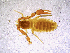  ( - BGE_00505_B01)  @11 [ ] Copyright (2024) Unspecified Croatian Biospeleological Society