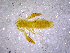  ( - BGE_00505_B02)  @11 [ ] Copyright (2024) Unspecified Croatian Biospeleological Society