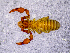  ( - BGE_00505_C02)  @11 [ ] Copyright (2024) Unspecified Croatian Biospeleological Society