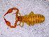  ( - BGE_00505_C05)  @11 [ ] Copyright (2024) Unspecified Croatian Biospeleological Society