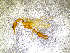  ( - BGE_00505_C08)  @11 [ ] Copyright (2024) Unspecified Croatian Biospeleological Society