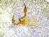  ( - BGE_00505_C08)  @11 [ ] Copyright (2024) Unspecified Croatian Biospeleological Society