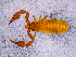  ( - BGE_00505_D05)  @11 [ ] Copyright (2024) Unspecified Croatian Biospeleological Society