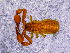  ( - BGE_00505_D06)  @11 [ ] Copyright (2024) Unspecified Croatian Biospeleological Society