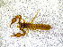  ( - BGE_00505_D08)  @11 [ ] Copyright (2024) Unspecified Croatian Biospeleological Society