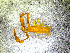 ( - BGE_00505_D10)  @11 [ ] Copyright (2024) Unspecified Croatian Biospeleological Society