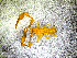  ( - BGE_00505_D10)  @11 [ ] Copyright (2024) Unspecified Croatian Biospeleological Society