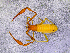  ( - BGE_00505_F02)  @11 [ ] Copyright (2024) Unspecified Croatian Biospeleological Society