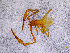  ( - BGE_00505_F03)  @11 [ ] Copyright (2024) Unspecified Croatian Biospeleological Society