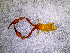  ( - BGE_00505_F07)  @11 [ ] Copyright (2024) Unspecified Croatian Biospeleological Society