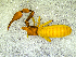  ( - BGE_00505_F08)  @11 [ ] Copyright (2024) Unspecified Croatian Biospeleological Society