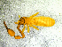  ( - BGE_00505_F08)  @11 [ ] Copyright (2024) Unspecified Croatian Biospeleological Society