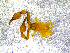  ( - BGE_00505_F09)  @11 [ ] Copyright (2024) Unspecified Croatian Biospeleological Society
