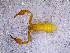  ( - BGE_00505_F10)  @11 [ ] Copyright (2024) Unspecified Croatian Biospeleological Society