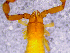  ( - BGE_00505_F12)  @11 [ ] Copyright (2024) Unspecified Croatian Biospeleological Society