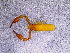  ( - BGE_00505_F12)  @11 [ ] Copyright (2024) Unspecified Croatian Biospeleological Society