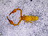  ( - BGE_00505_F12)  @11 [ ] Copyright (2024) Unspecified Croatian Biospeleological Society