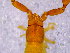  ( - BGE_00505_G01)  @11 [ ] Copyright (2024) Unspecified Croatian Biospeleological Society