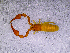  ( - BGE_00505_G01)  @11 [ ] Copyright (2024) Unspecified Croatian Biospeleological Society