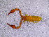  ( - BGE_00505_G01)  @11 [ ] Copyright (2024) Unspecified Croatian Biospeleological Society