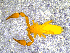  ( - BGE_00505_H01)  @11 [ ] Copyright (2024) Unspecified Croatian Biospeleological Society