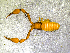  ( - BGE_00505_H02)  @11 [ ] Copyright (2024) Unspecified Croatian Biospeleological Society