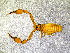  ( - BGE_00505_H02)  @11 [ ] Copyright (2024) Unspecified Croatian Biospeleological Society