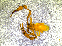  ( - BGE_00505_H03)  @11 [ ] Copyright (2024) Unspecified Croatian Biospeleological Society