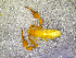  ( - BGE_00505_H04)  @11 [ ] Copyright (2024) Unspecified Croatian Biospeleological Society