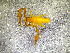  ( - BGE_00505_H05)  @11 [ ] Copyright (2024) Unspecified Croatian Biospeleological Society