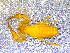  ( - BGE_00505_H06)  @11 [ ] Copyright (2024) Unspecified Croatian Biospeleological Society