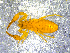  ( - BGE_00505_H06)  @11 [ ] Copyright (2024) Unspecified Croatian Biospeleological Society