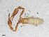  ( - BGE_00506_A01)  @11 [ ] Copyright (2024) Unspecified Croatian Biospeleological Society