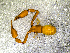  ( - BGE_00506_A02)  @11 [ ] Copyright (2024) Unspecified Croatian Biospeleological Society