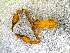  ( - BGE_00506_A02)  @11 [ ] Copyright (2024) Unspecified Croatian Biospeleological Society